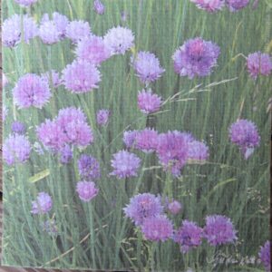 Swedish screen printed dishwashing sponge/dish cloth, "Chives"