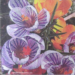 Swedish Screen Printed Dishwashing Sponge/ dish cloth  Crocus