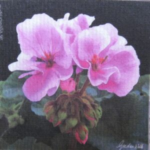 Swedish screen printed dishwashing sponge/ dish cloth, Rosa Pelargon (Geranium)