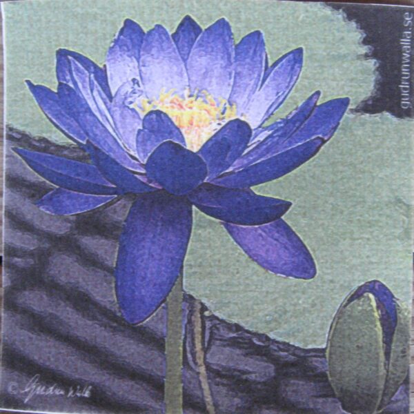 Swedish Screen Printed Dishwashing Sponge/ dish cloth  Water Lily
