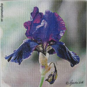 Swedish screen printed dish washing sponge/ dish cloth "blue iris"  Gudrun Walla  7" x 73/4"