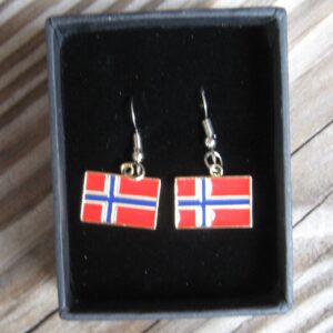 Norwegian flag earrings