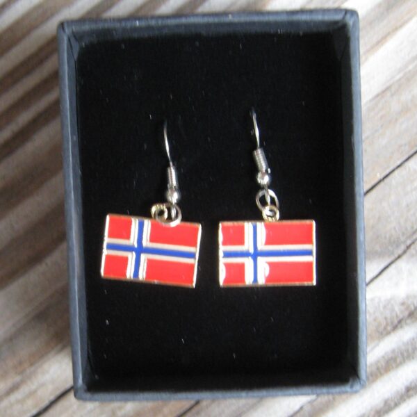 Norwegian flag earrings