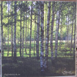 Swedish screen printed dish cloth "birches in the glade"