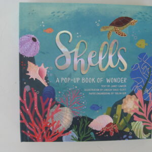 "Shells"  A pop-up book   9" x 9"