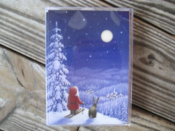 Boxed Christmas Cards " Tomte & Bunny" English text 12 cards  7" x 5"